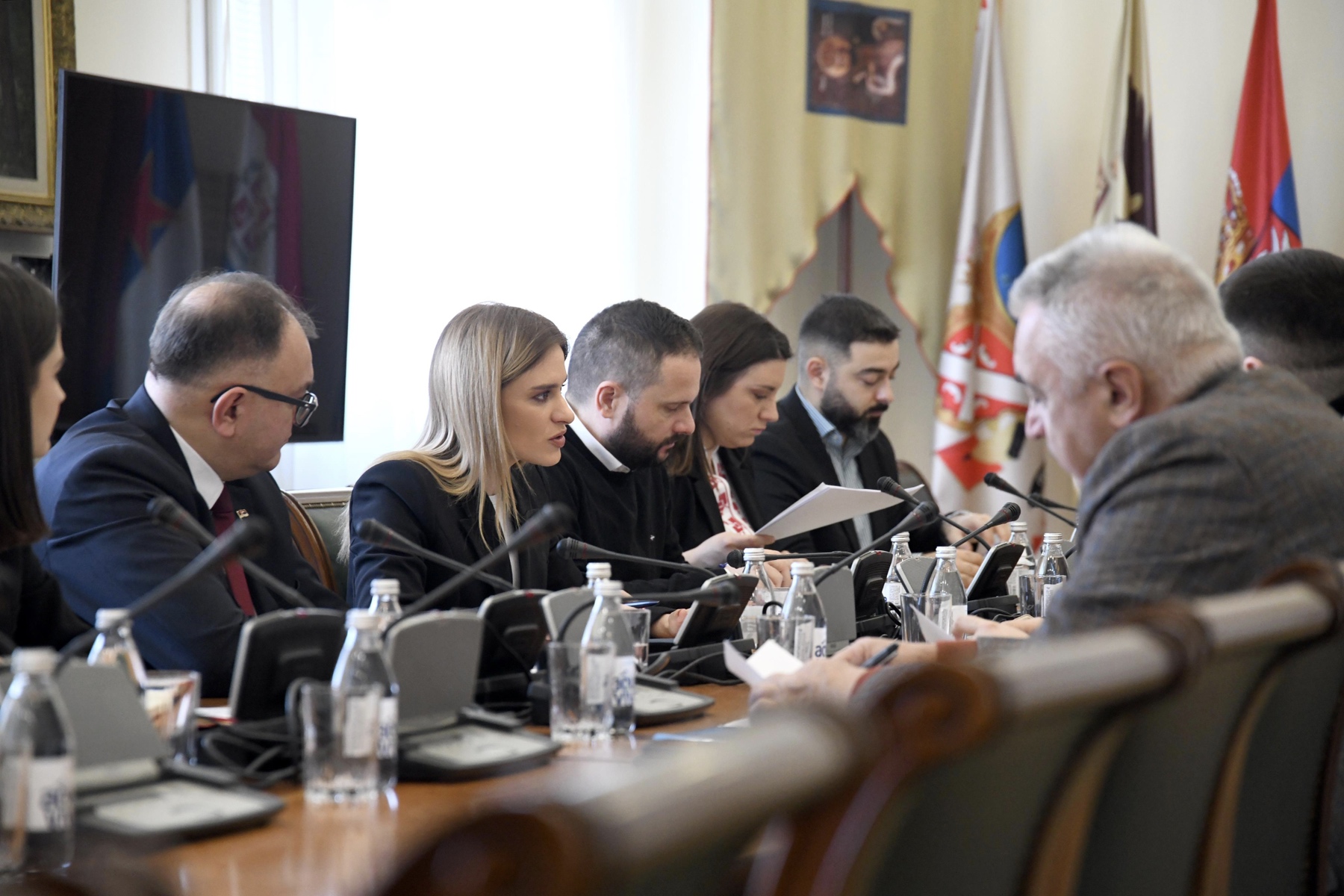 2026 01 19 rekonstrukcija plave grobnice